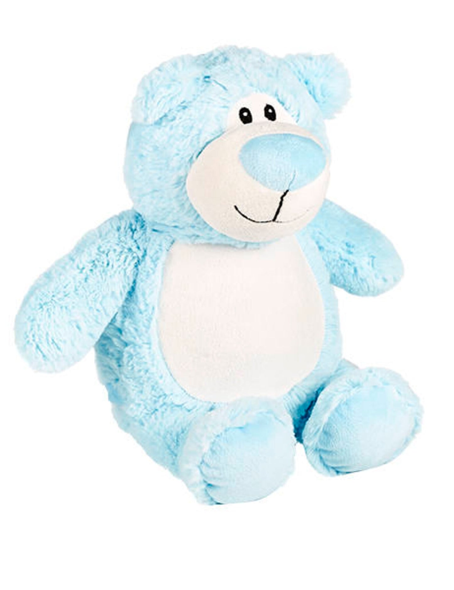 Blue teddy bear plush toy on a white background
