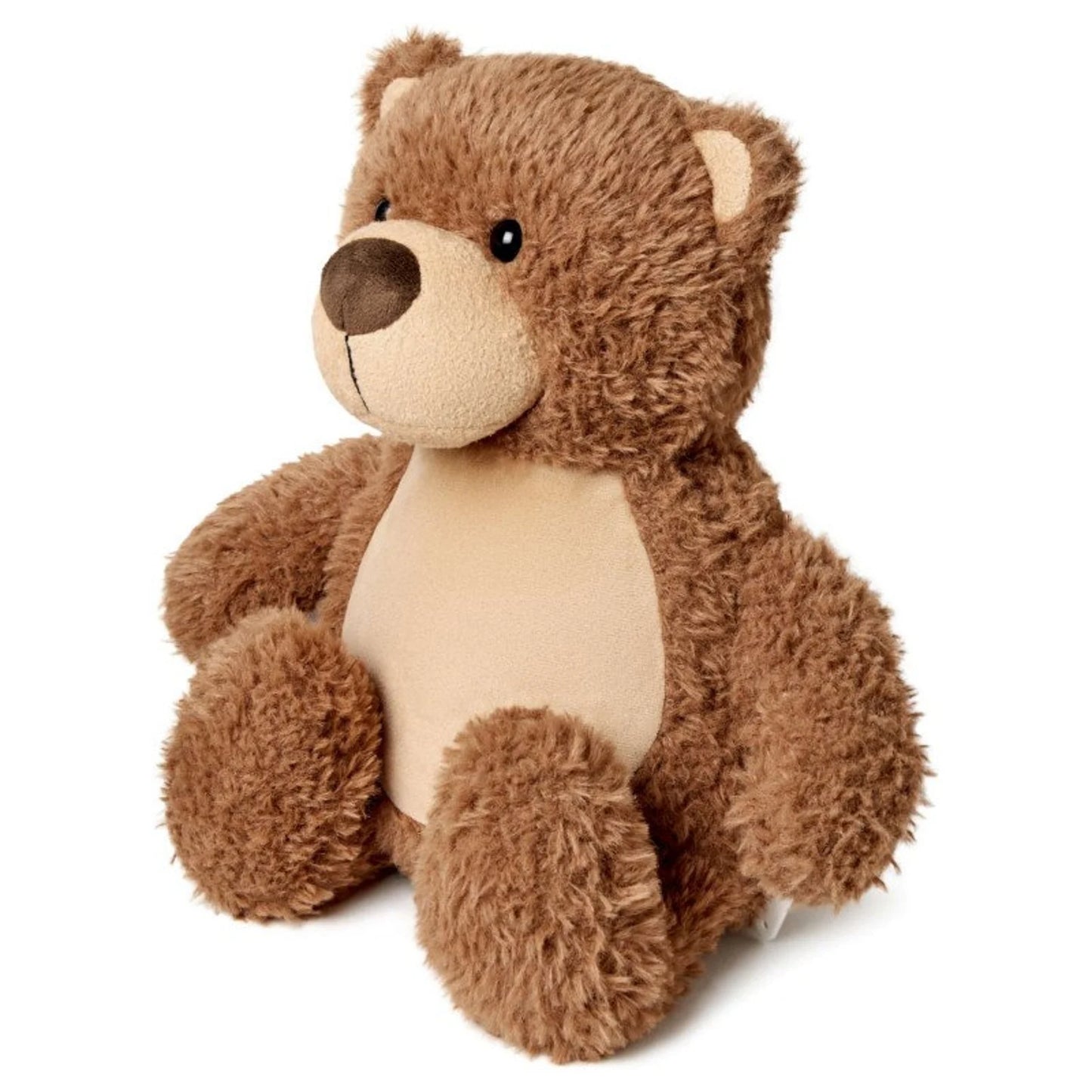 Brown teddy bear on a white background