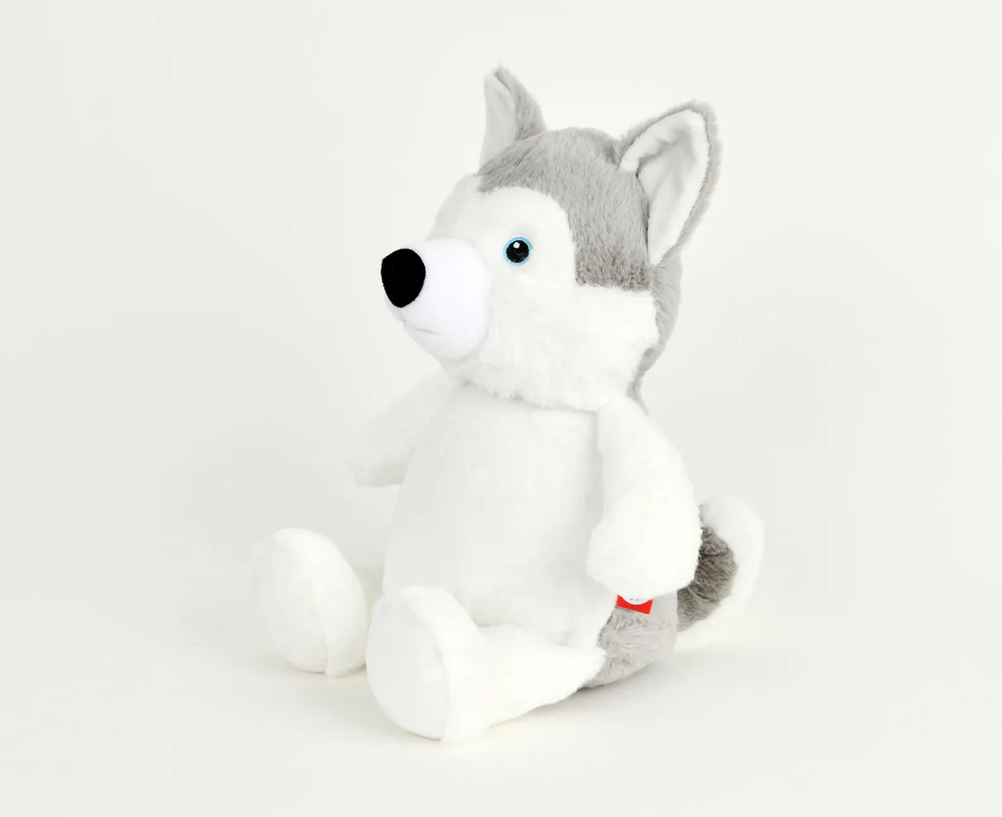 Plush toy husky on a white background