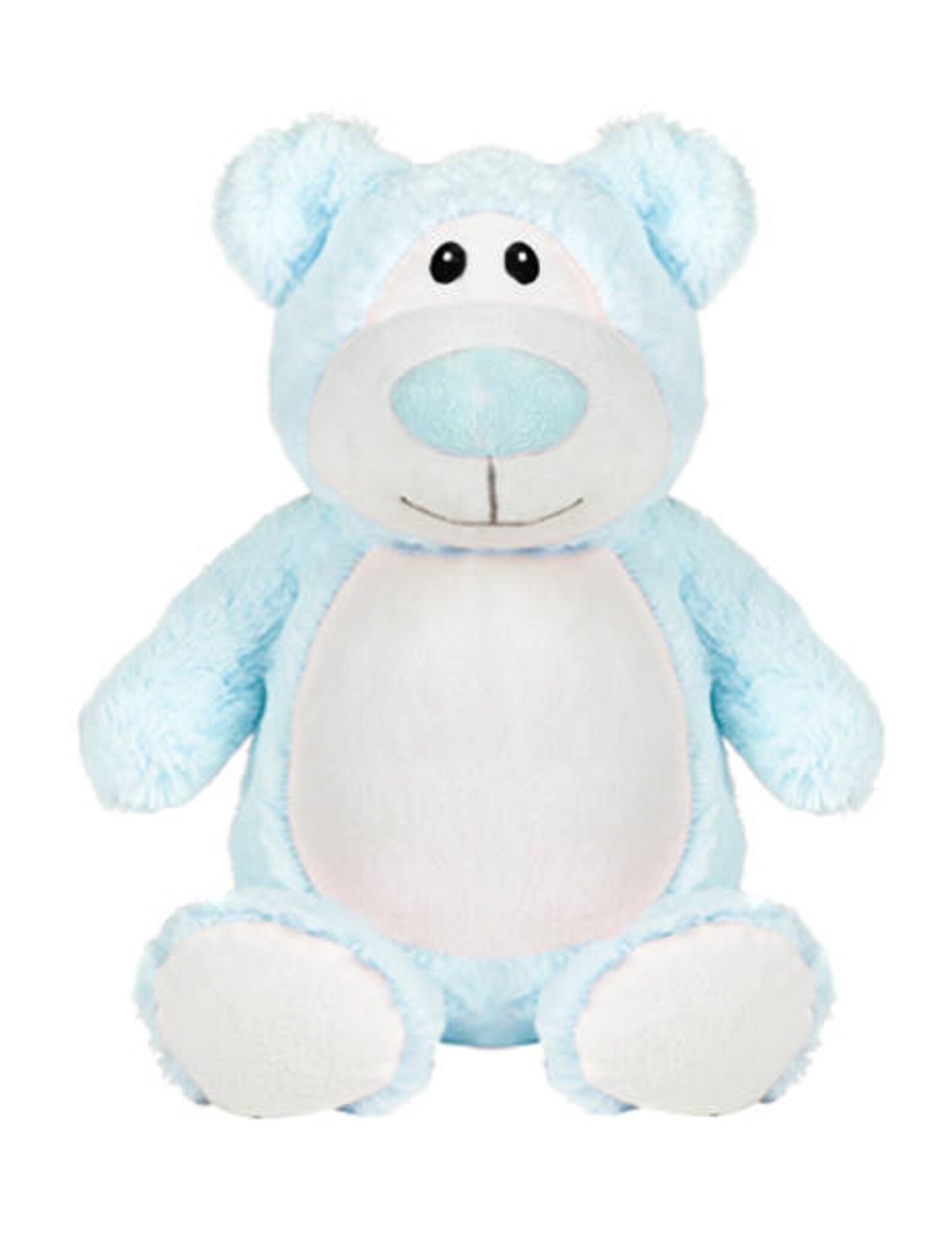 Blue teddy bear plush toy on a white background