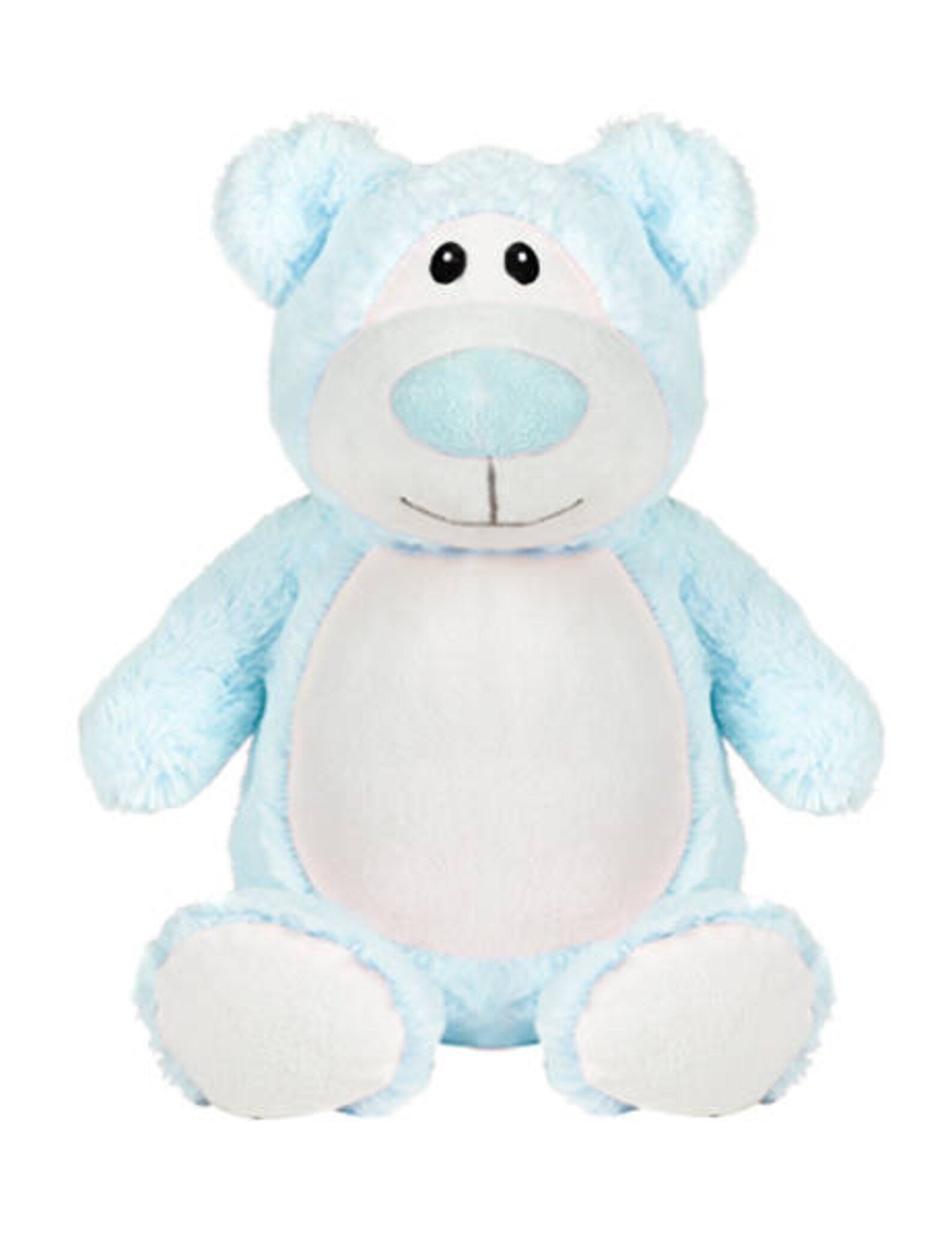 Blue teddy bear plush toy on a white background