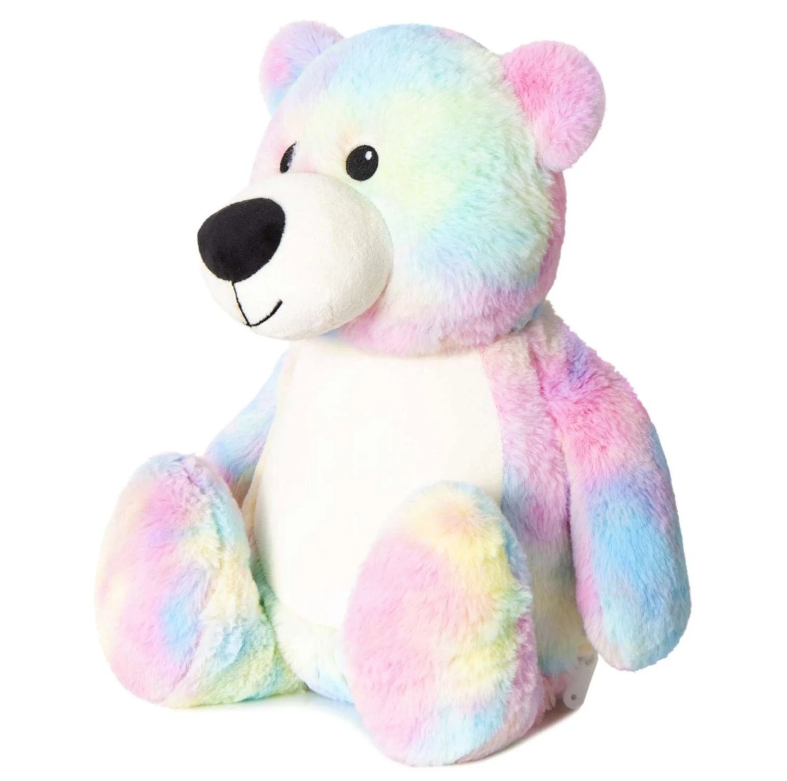 Multicolored teddy bear on a white background