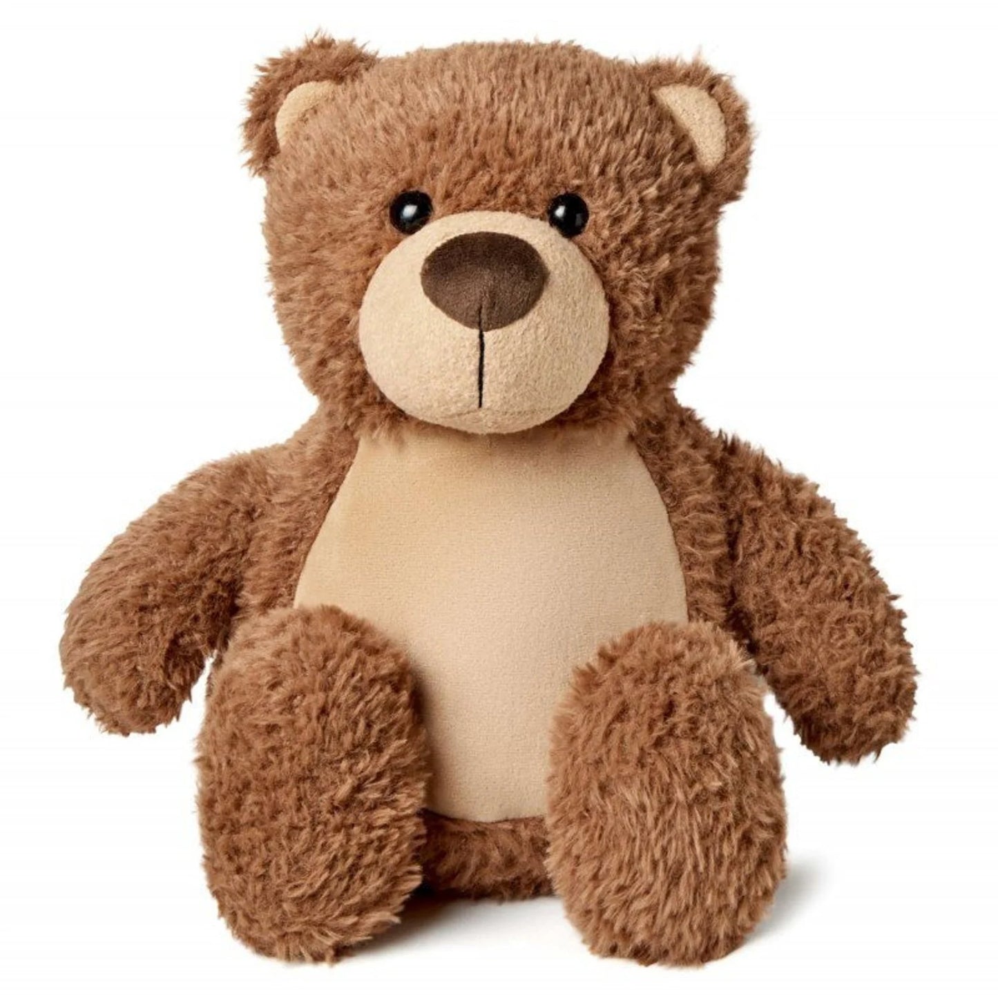 Brown teddy bear on a white background