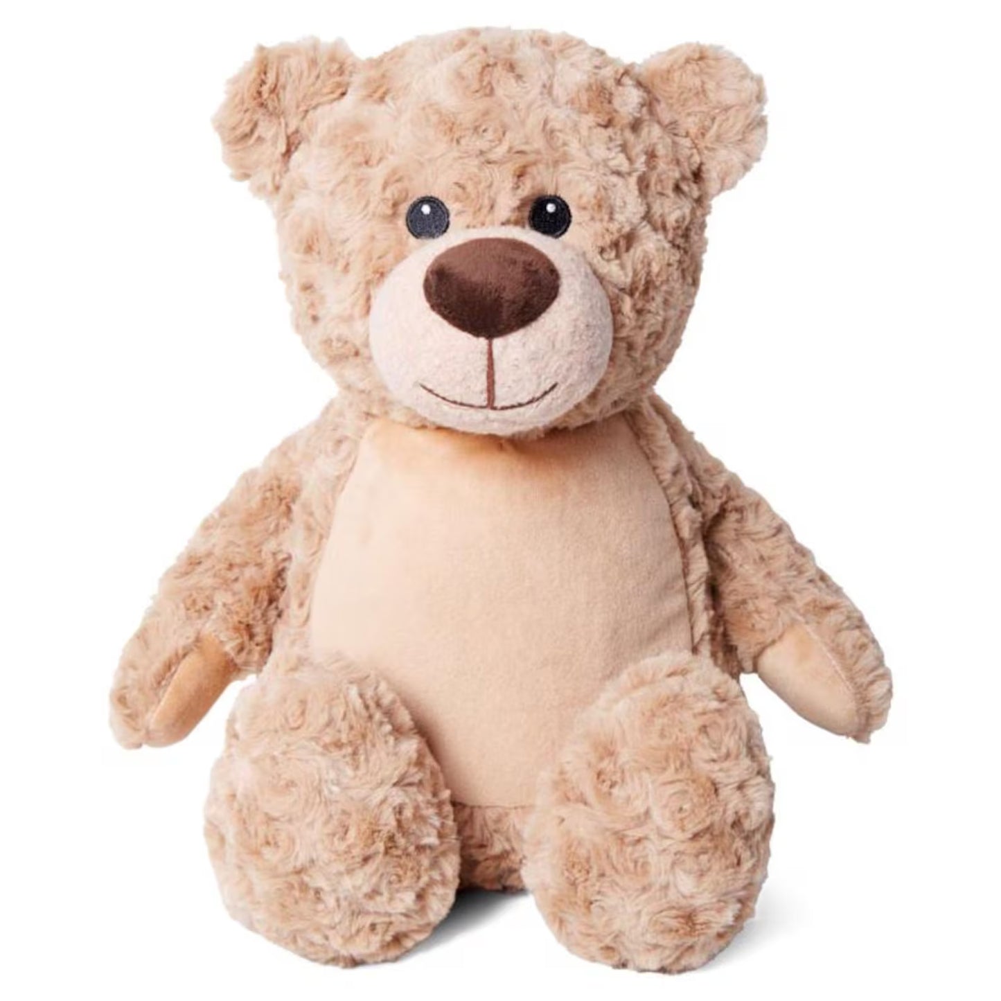 Plush teddy bear on a white background
