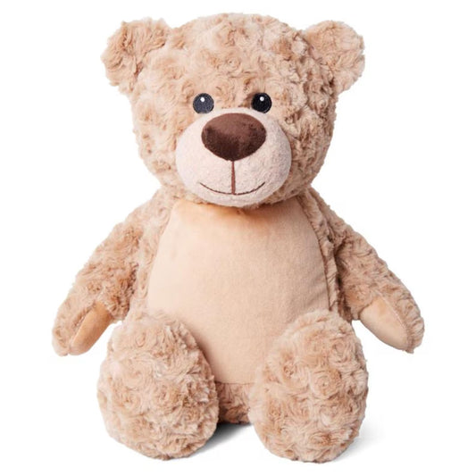 Plush teddy bear on a white background