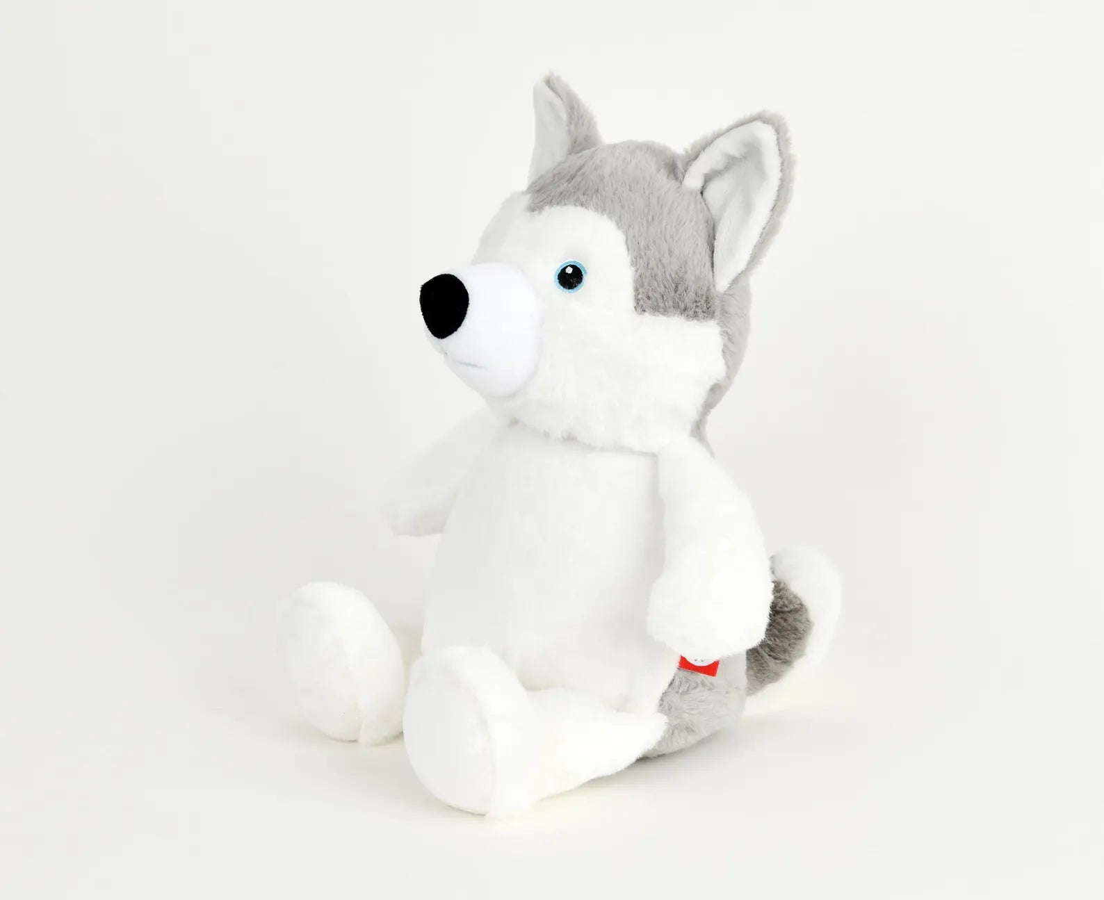 Plush toy husky on a white background
