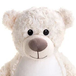 Cream teddy bear with a brown nose on a white background