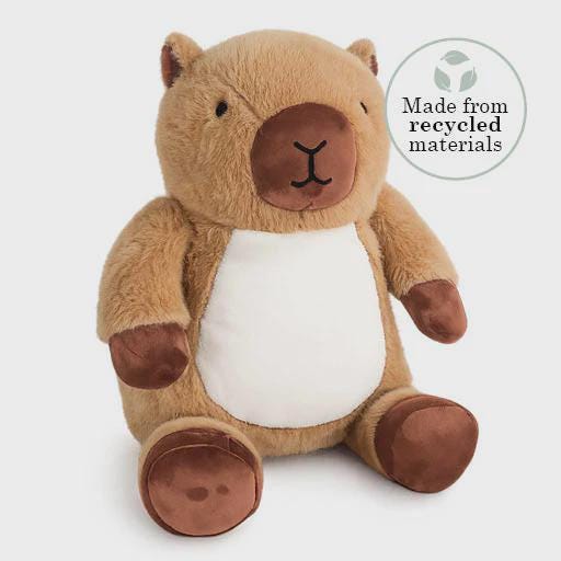 Personalised Printed Capybara Plush, Birth Details Keepsake