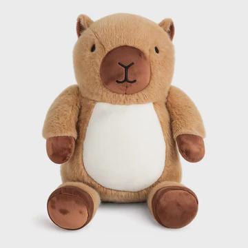 Personalised Printed Capybara Plush, Birth Details Keepsake